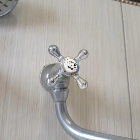 славутич * פוליאנה