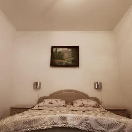 Otel славутич Polyana (Transcarpathia)